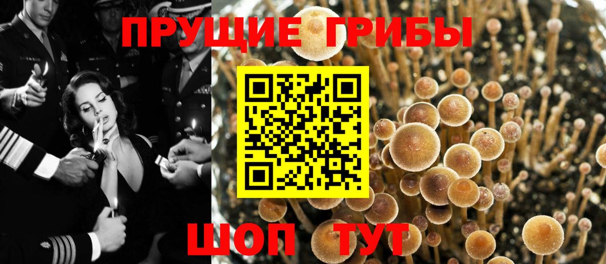 Галлюциногенные грибы Magic Shrooms  Вход с VPN  Ртищево 