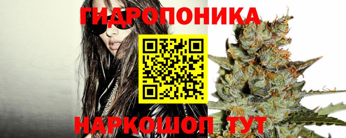 Бошки Шишки марихуана  Бошки Шишки планчик  Вход с VPN  Шишки марихуана AK-47  Бошки марихуана ГИДРОПОН  Ртищево 